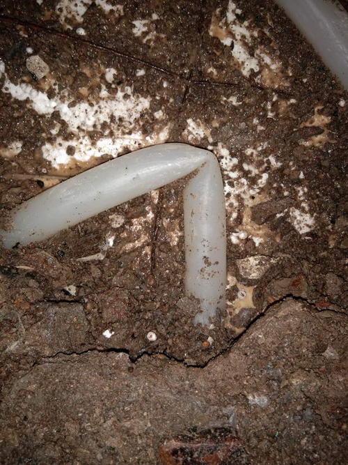 奉新堵点精准查找